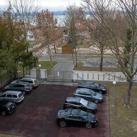 Tok * Zamárdi